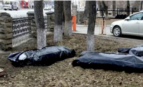 Плотно набитые мешки для трупов под окнами больницы Челябинска напугали прохожих