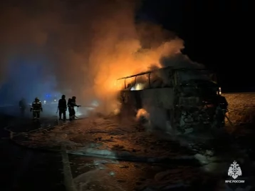 Фото: На трассе в Башкирии сгорел автобус, следовавший из Махачкалы в Уфу 1