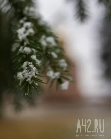 Артемьев день: народные приметы на 2 ноября