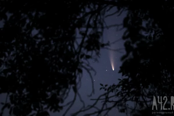 Средства ПВО за ночь сбили более 80 БПЛА над регионами РФ