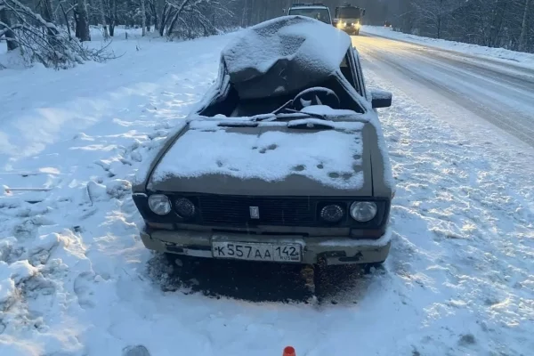 В Кузбассе 16-летний подросток пострадал в ДТП с лосем