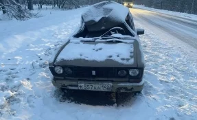 В Кузбассе 16-летний подросток пострадал в ДТП с лосем