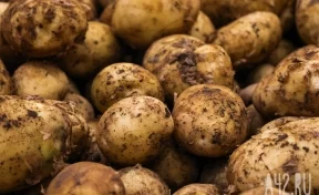 Кемеровостат: в Кузбассе за неделю картофель подешевел почти на 8%