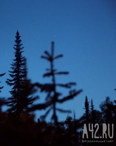 Фото: A42.RU