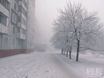 Фото: «Чемпионат по кружеву»: кемеровчане делятся сказочными фото инея, накрывшего город 5