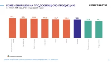 Фото: Кемеровостат: в Кузбассе за неделю огурцы подешевели на 8%, лук подорожал на 5% 3