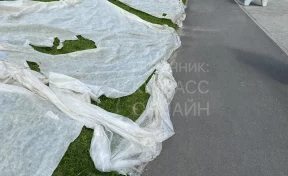 Кемеровчанка пожаловалась на опасный газон на детской площадке