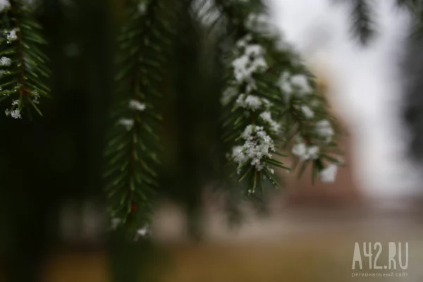 Артемьев день: народные приметы на 2 ноября