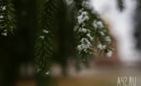 Артемьев день: народные приметы на 2 ноября