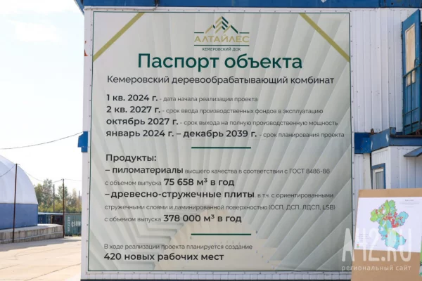 Власти ответили на критику строительства деревообрабатывающего комбината в Кемерове