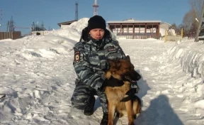 В Кузбассе служебная овчарка Жадина помогла раскрыть кражу