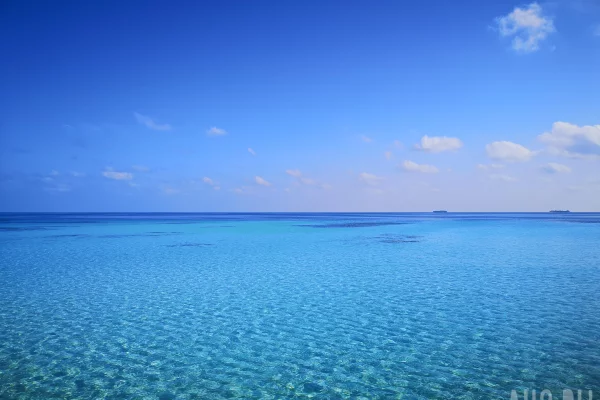 Лодка с россиянкой перевернулась на Мальдивах, два туриста пропали без вести