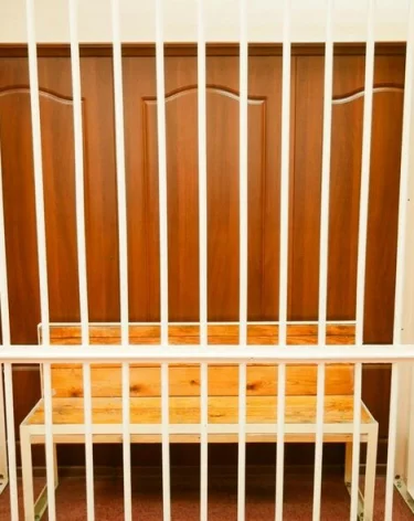 Гендиректор реабилитационного центра в подмосковном Видном не признал вину