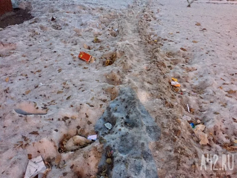Фото: Кемеровчанка шокирована «мусорной дорожкой» в Центральном районе 2