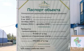 Власти ответили на критику строительства деревообрабатывающего комбината в Кемерове