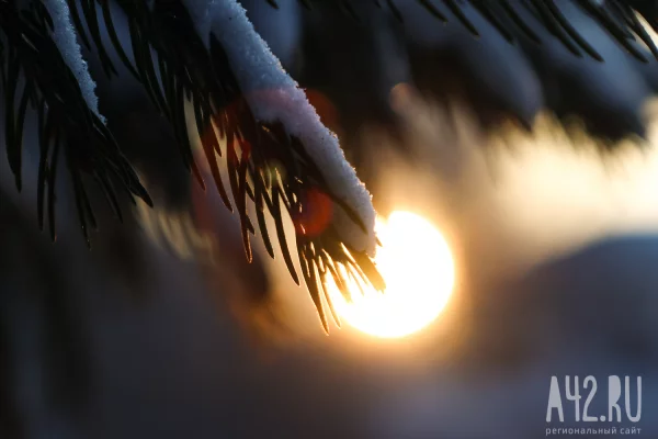 Синоптики дали прогноз погоды в Кузбассе на 28 января