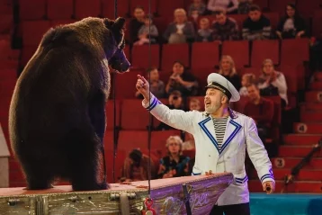 Фото: Кемеровский цирк приглашает горожан посетить самое таинственное шоу года 3