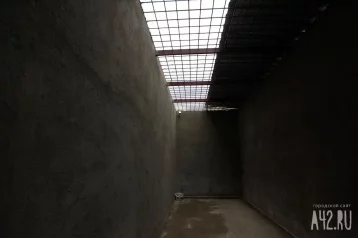 Фото: Житель Франции попал в тюрьму за избиение своей собаки 1
