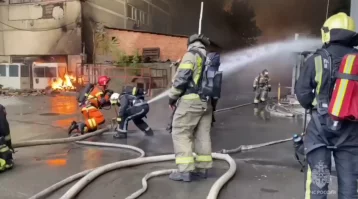 Фото: В Ростове-на-Дону загорелись склад и офисное помещение на 9 100 квадратных метрах 1