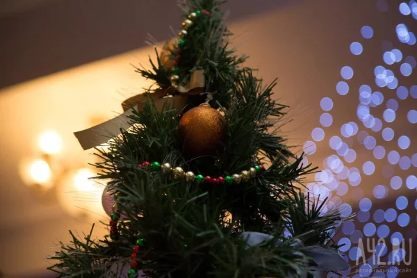 Онищенко объяснил, почему нужно выйти на работу уже 2 января