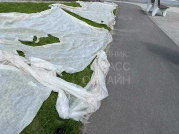 Фото: Кемеровчанка пожаловалась на опасный газон на детской площадке 1