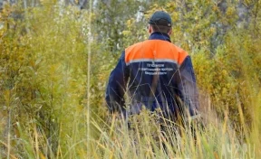 Полиция и спасатели ищут ушедшего в лес две недели назад кузбассовца