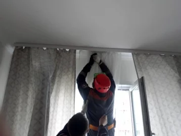 Фото: В Кузбассе в квартиру залетела агрессивная летучая мышь 1