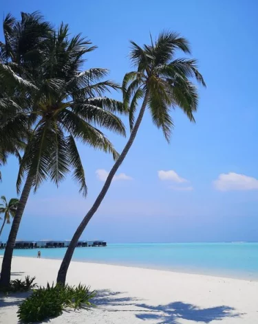 Назван самый дорогой новогодний тур 