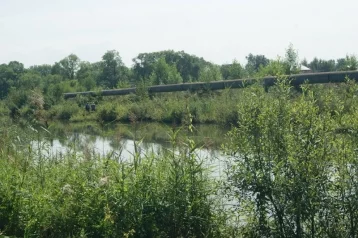 Фото: В Новокузнецке ограничили доступ к опасному водоёму 1