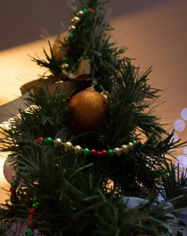 Онищенко объяснил, почему нужно выйти на работу уже 2 января