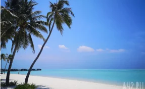 Назван самый дорогой новогодний тур 