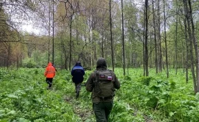 Полицейские отыскали отправившегося за колбой пенсионера в тайге в Кузбассе