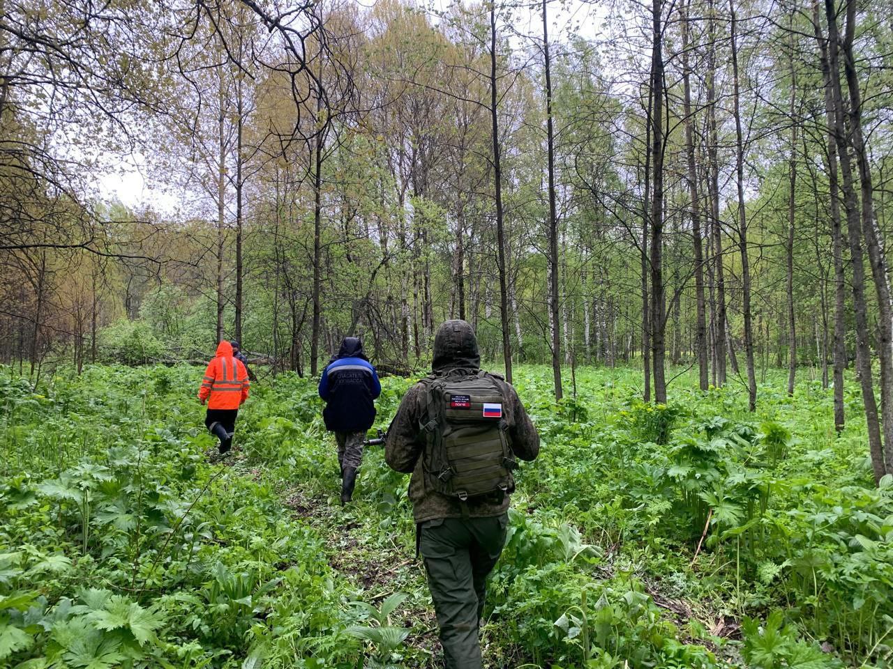 Полицейские отыскали отправившегося за колбой пенсионера в тайге в Кузбассе