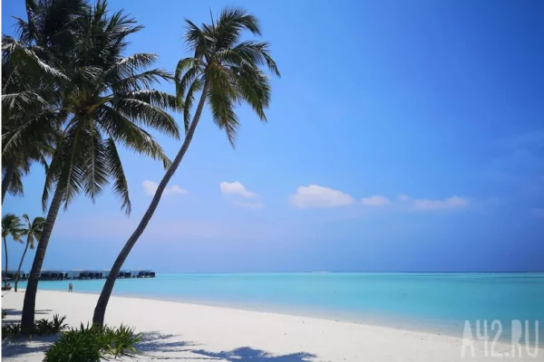 Назван самый дорогой новогодний тур 