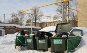 Вывоз мусора в 2024 году обойдётся кемеровской мэрии в 55 млн рублей