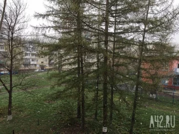 Фото: В Кузбассе в воскресенье ожидается снег 1