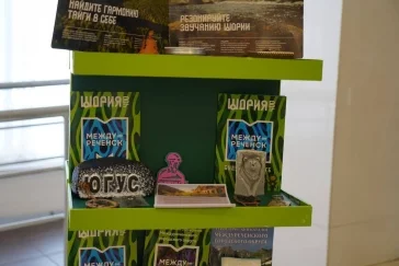 Фото: Губернатор Середюк: Междуреченск выиграл на Всероссийском конкурсе 30 млн рублей 1