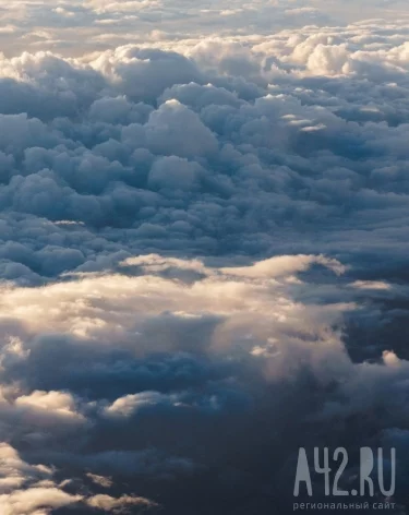 Фото: A42.RU