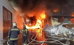 Опубликовано видео мощного пожара на складе со стройматериалами в Подмосковье