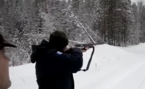 Губернатор Иркутской области пристрелил спящего медведя