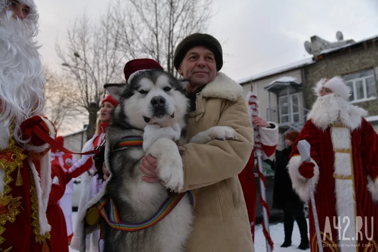 Фото: Парад 1000 Дедов Морозов в Кемерове 43