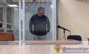 В Московской области мужчина получил пожизненный срок за взрыв газа в доме