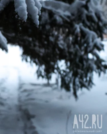 Фото: A42.RU