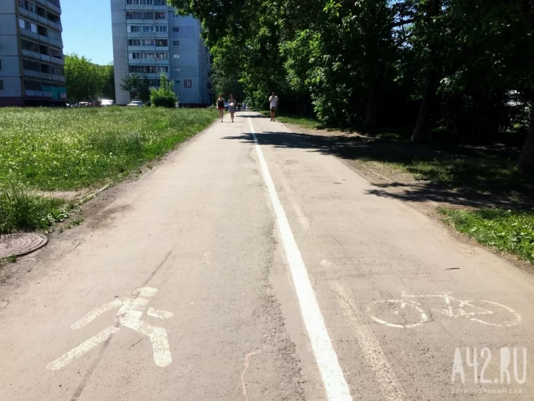 Фото: Не поедем, не помчимся: тестируем велодорожки в Кемерове 19