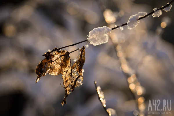 В Кузбассе к концу рабочей недели потеплеет до -4