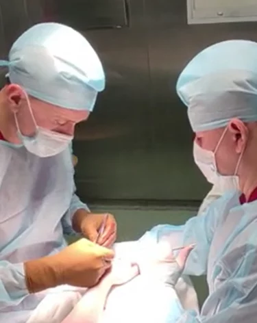 Фото, видео: <a href=https://t.me/andrey_tarasov_mzk/633>Андрей Тарасов</a> / Telegram