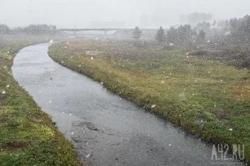 Фото: Осадки в виде дождя и мокрого снега: синоптики Кузбасса дали прогноз погоды на воскресенье 1