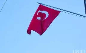 В Анталье пассажиров Turkish Airlines после посадки эвакуировали по трапам из-за задымления шасси