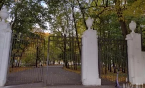 Власти Кемерова потратят 126 млн рублей на ремонт скверов и парков в 2025 году