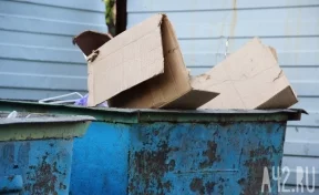 В Кемерове неизвестные подожгли мусорный бак со щенками
